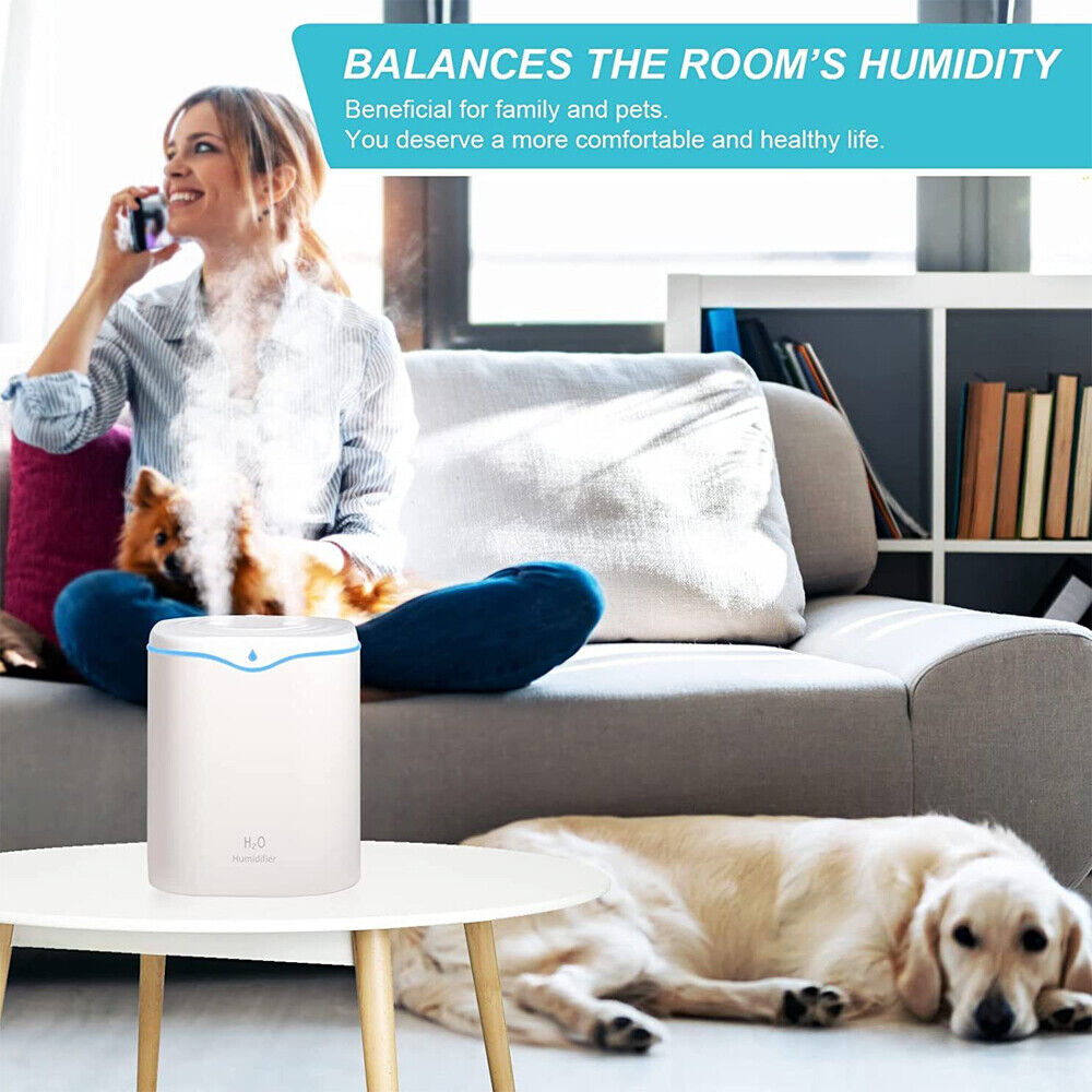 2L Double Spray Humidifiers Air Humidifier Steam Purifier