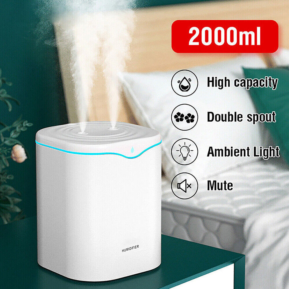 2L Double Spray Humidifiers Air Humidifier Steam Purifier